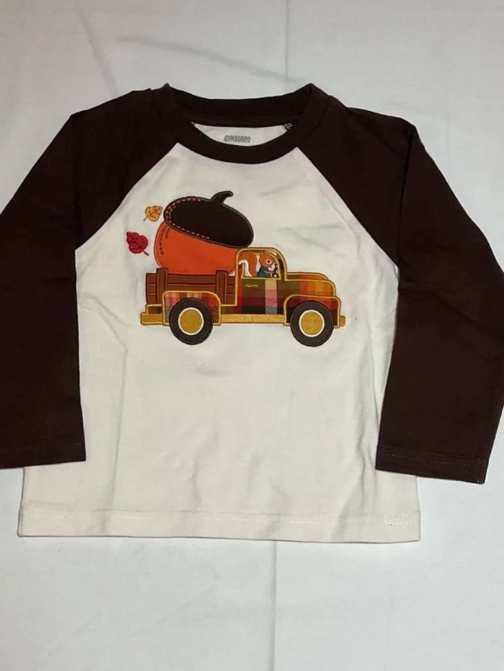 Gymboree Boys 12-18 Months Squirrel Acorn Truck Long Sleeve Raglan Top NWT